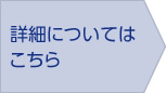 詳細についてはこちら